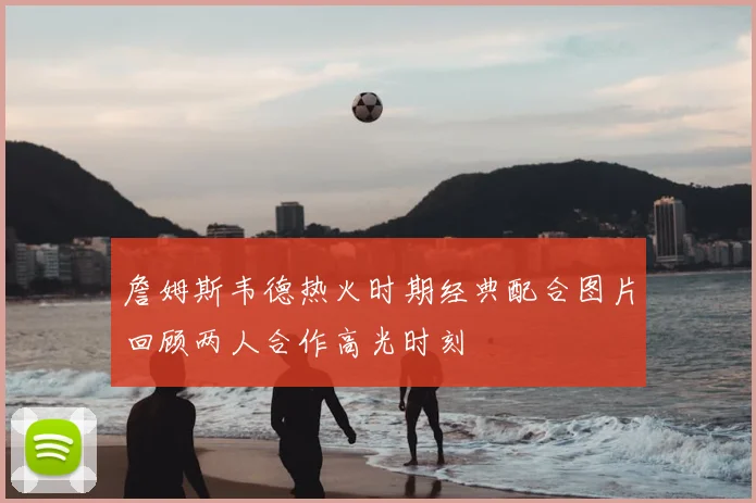 詹姆斯韦德热火时期经典配合图片回顾两人合作高光时刻