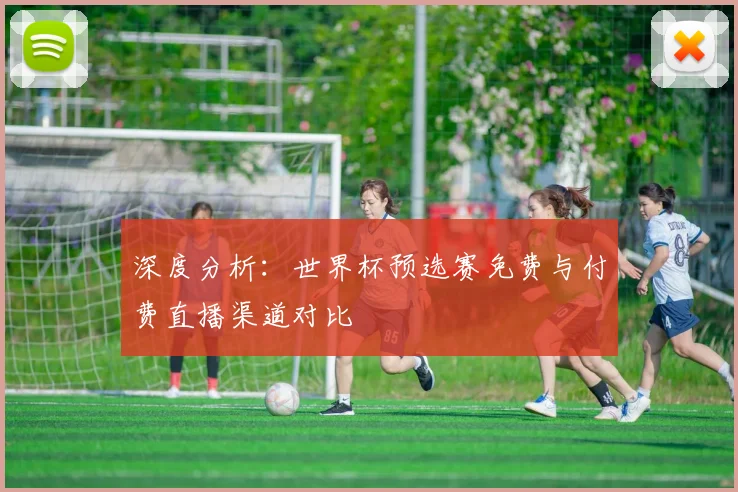 深度分析：世界杯预选赛免费与付费直播渠道对比