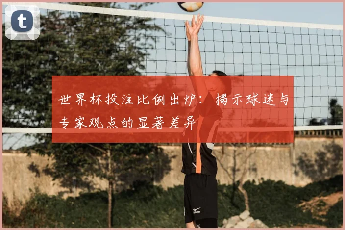 世界杯投注比例出炉:揭示球迷与专家观点的显著差异