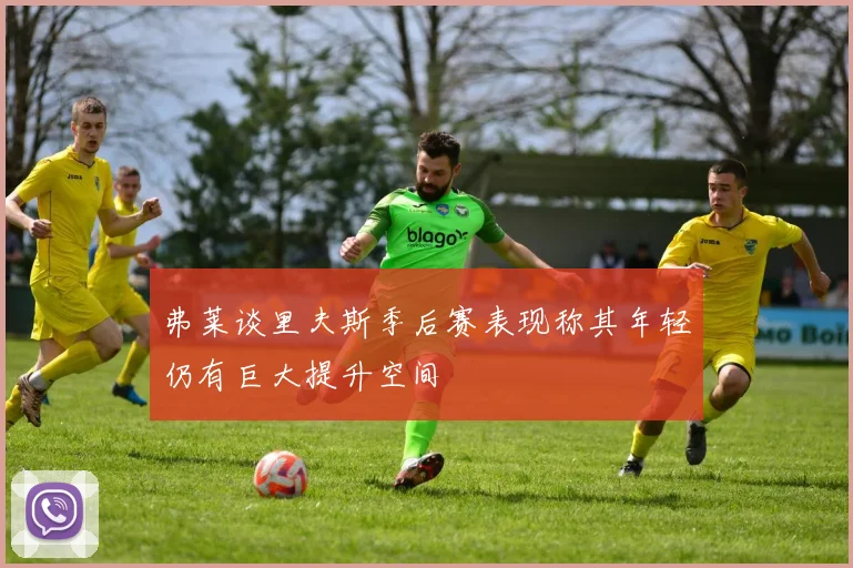 弗莱谈里夫斯季后赛表现称其年轻仍有巨大提升空间