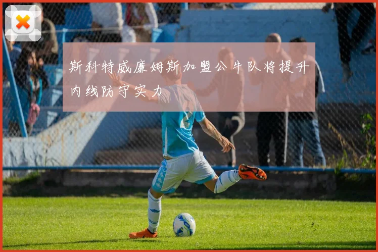 斯科特威廉姆斯加盟公牛队将提升内线防守实力