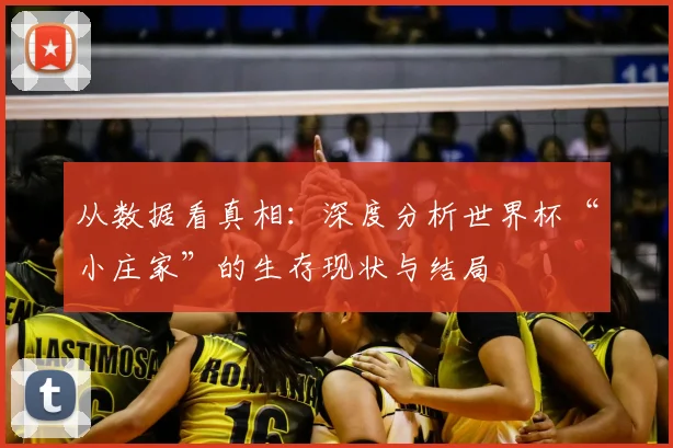 从数据看真相：深度分析世界杯“小庄家”的生存现状与结局