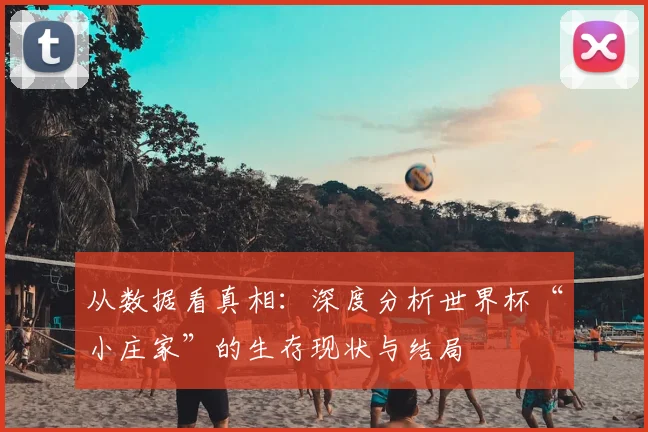 从数据看真相:深度分析世界杯“小庄家”的生存现状与结局