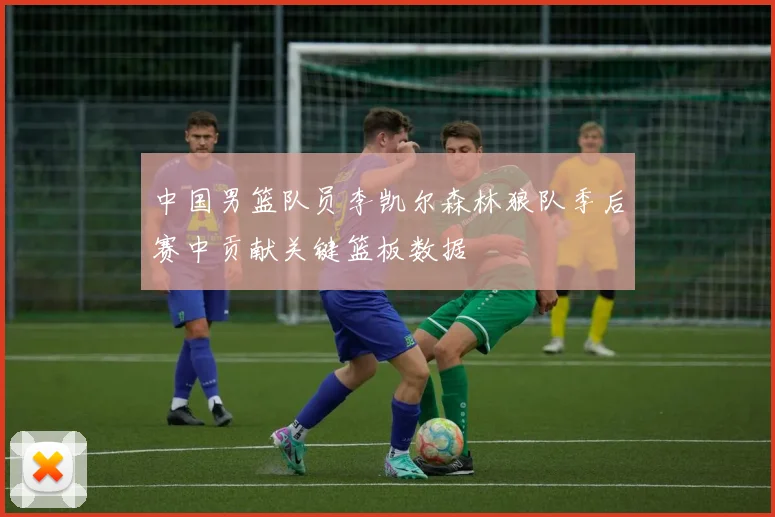 中国男篮队员李凯尔森林狼队季后赛中贡献关键篮板数据