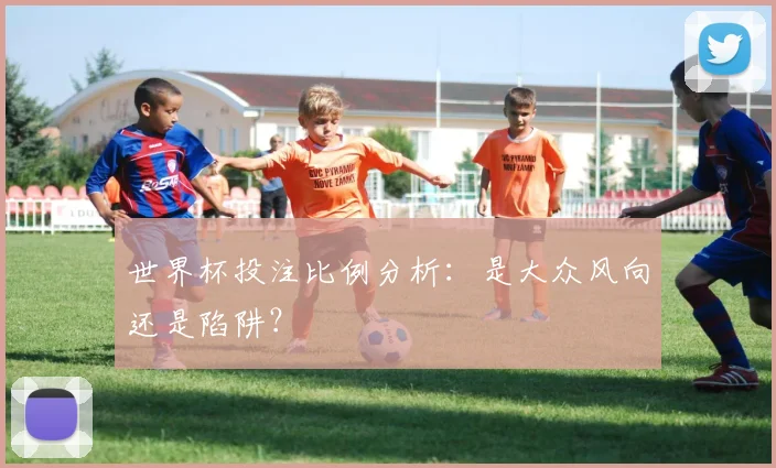 世界杯投注比例分析：是大众风向还是陷阱？