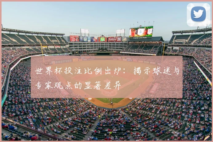 世界杯投注比例出炉：揭示球迷与专家观点的显著差异