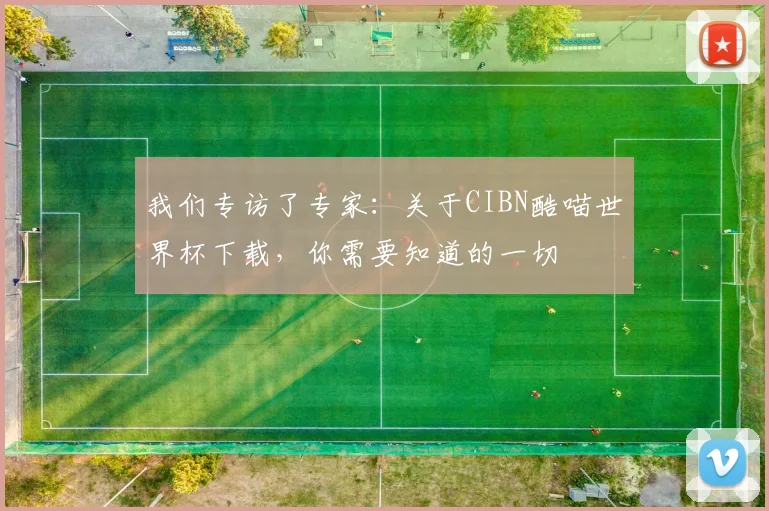 我们专访了专家：关于CIBN酷喵世界杯下载，你需要知道的一切